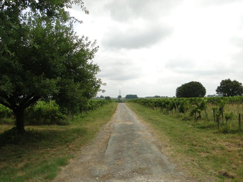 Chateau Monichot Organic Vineyard Tauriac  외부 사진